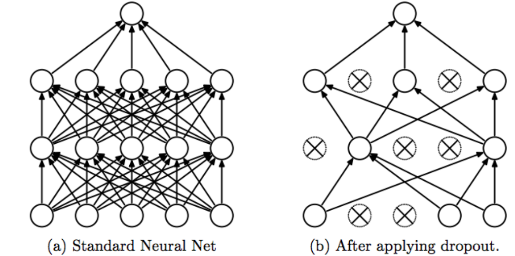 Network Dropout.png