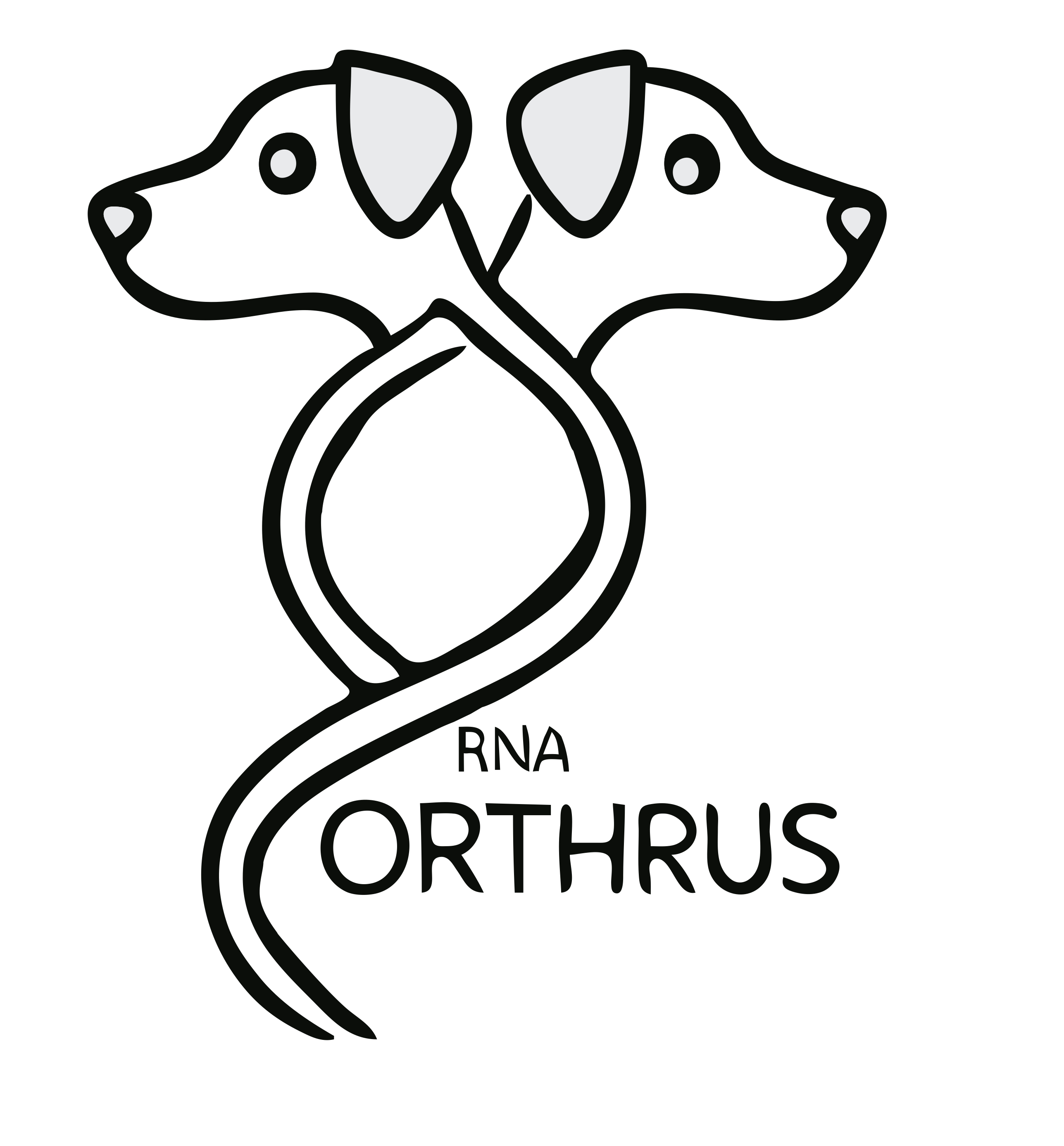 Orthrus Model Overview