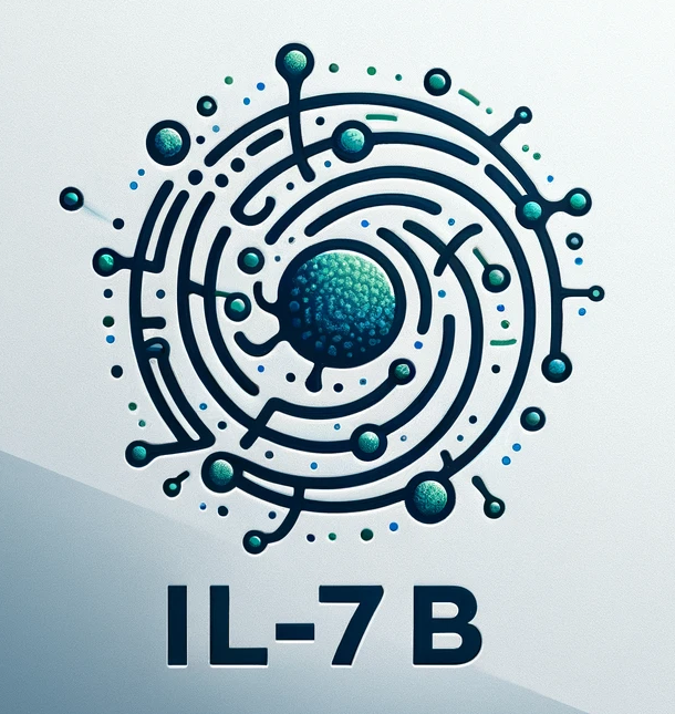 il_7b_logo.png