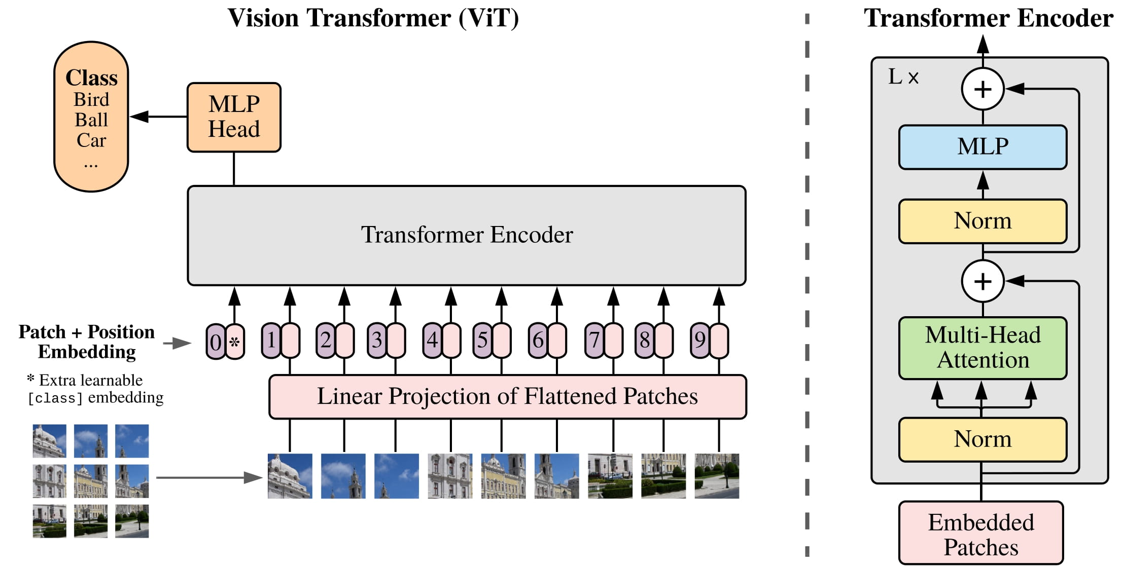 vit_architecture.jpg