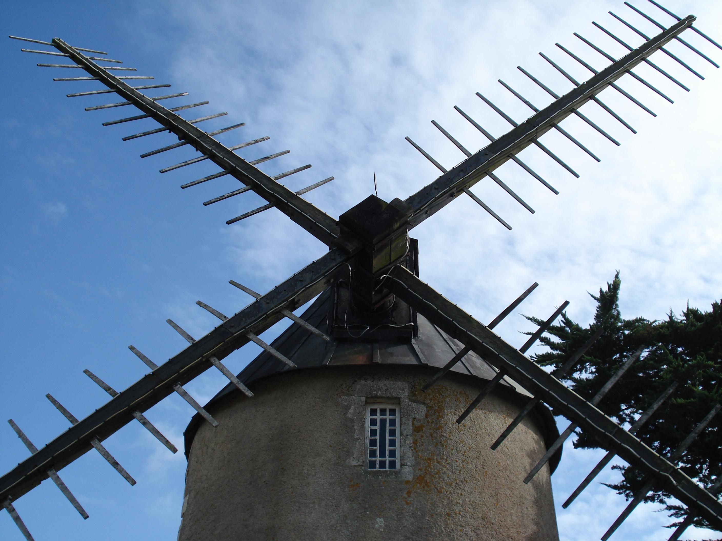 Windmill.jpg