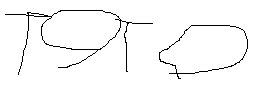 signature.png