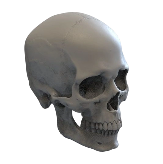 skull.png