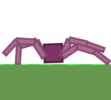 spider_thumbnail.png