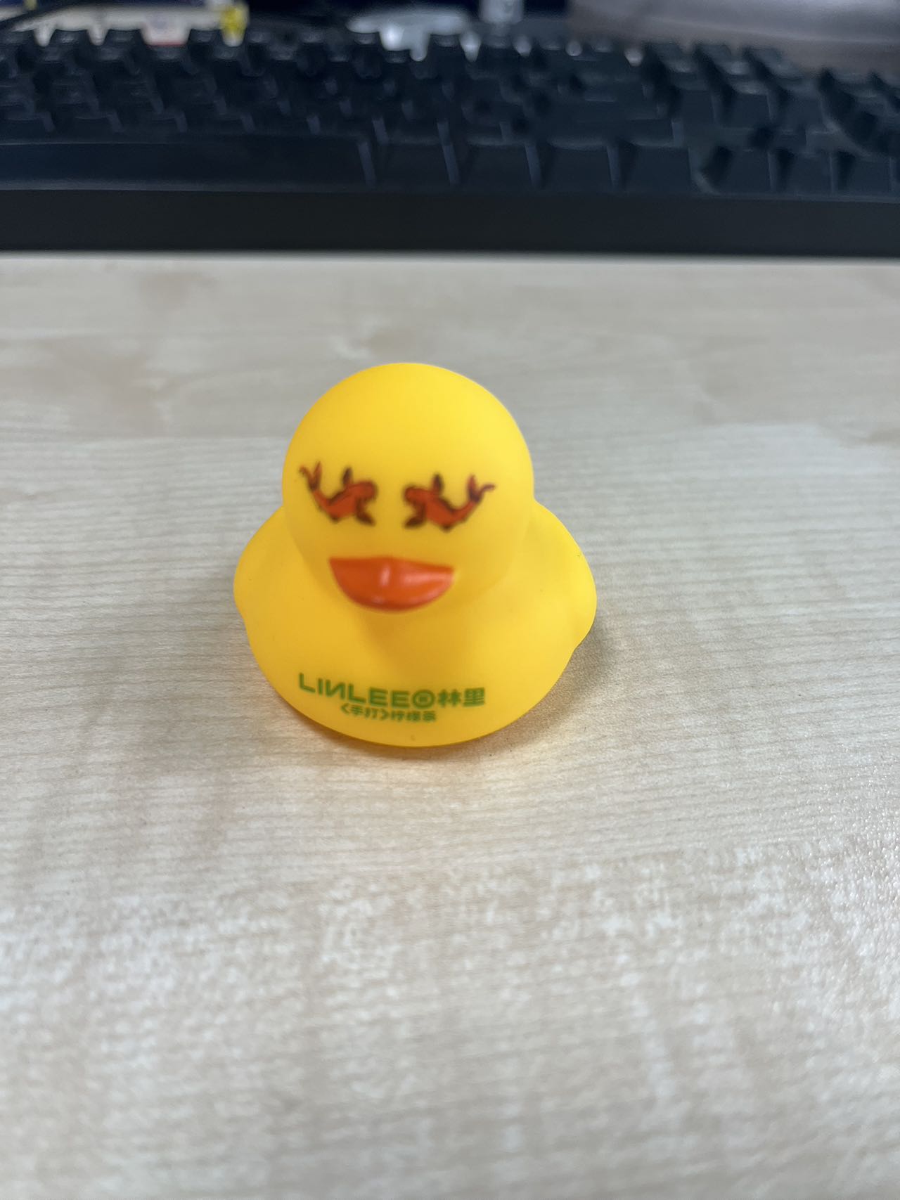 duck_0.jpg