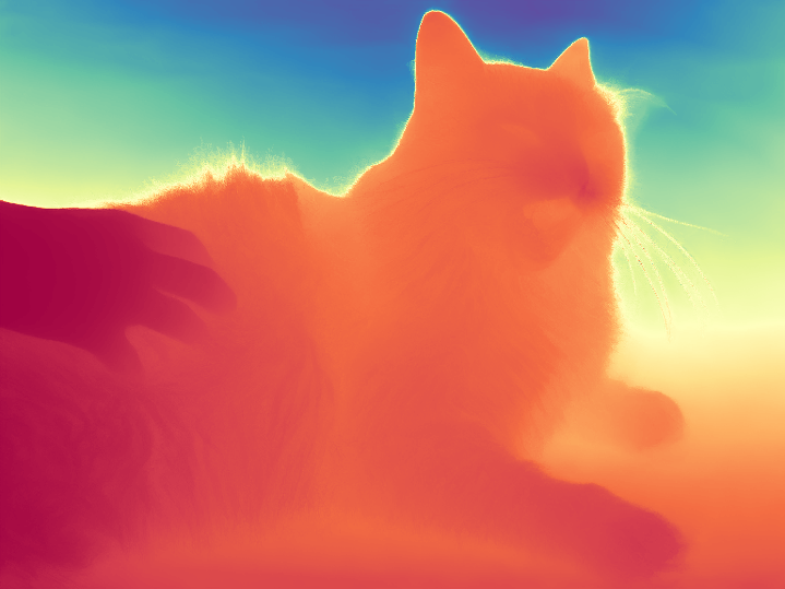 cat_depth_colored.png