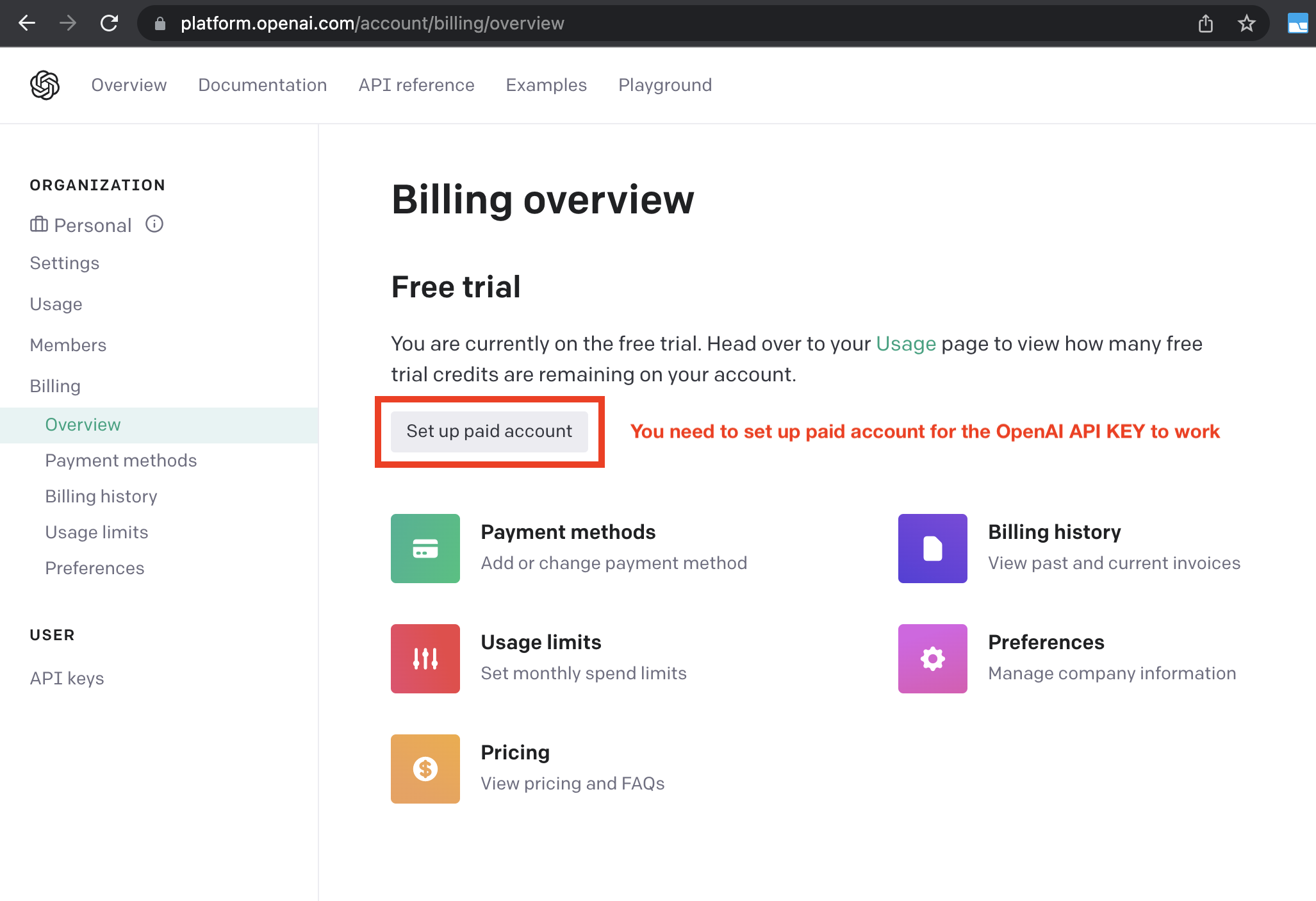 openai-api-key-billing-paid-account.png