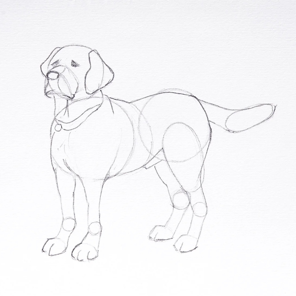 dog__sketch.jpg